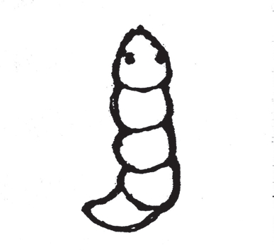 0003