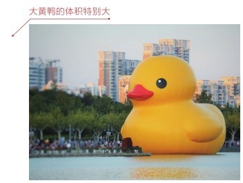 大黄鸭的体积特别大
