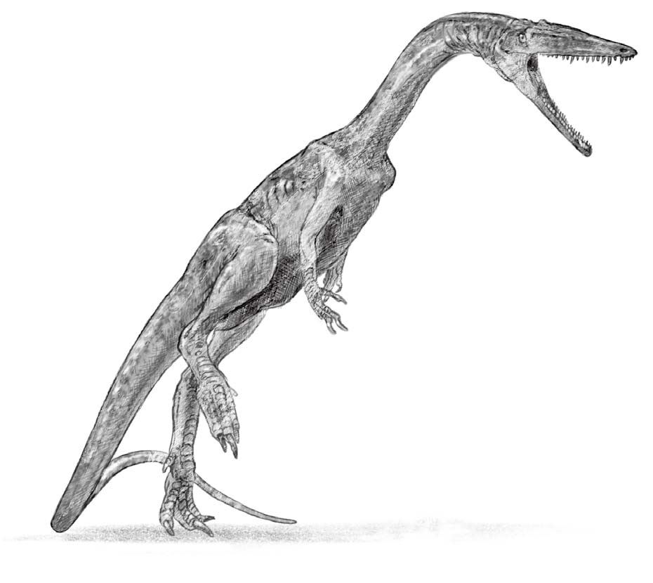 恐龙的兴衰最新章节_史蒂夫·布鲁萨特著_掌阅小说网