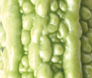176