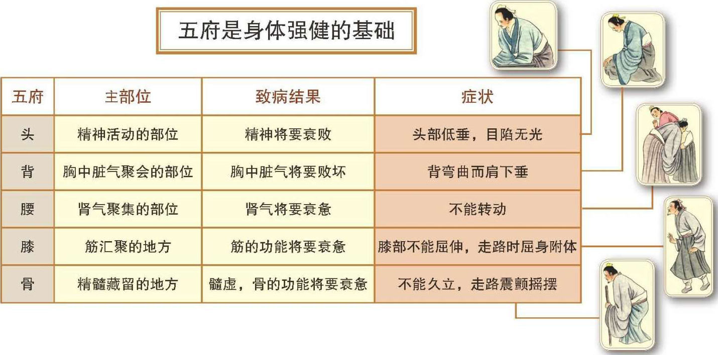 《黄帝内经》详解最新章节_常学辉著_掌阅小说网