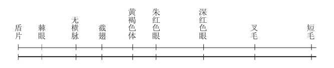 zhangyue-c