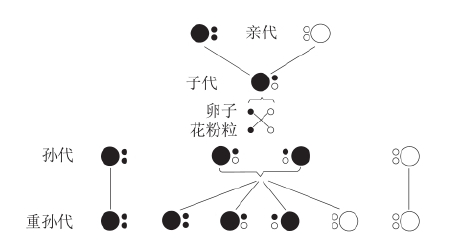 zhangyue-c