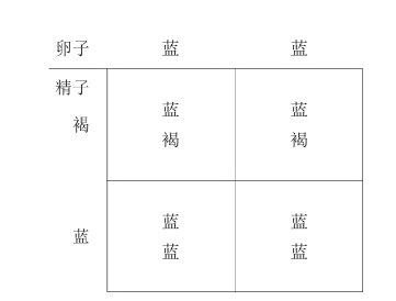 zhangyue-c