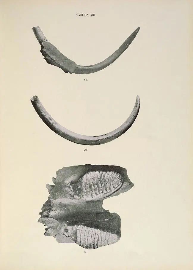 202311012
