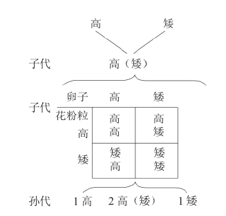 zhangyue-c