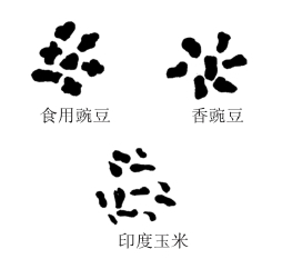 zhangyue-c
