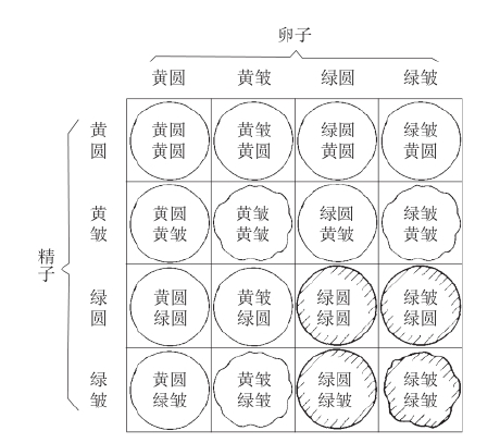 zhangyue-c