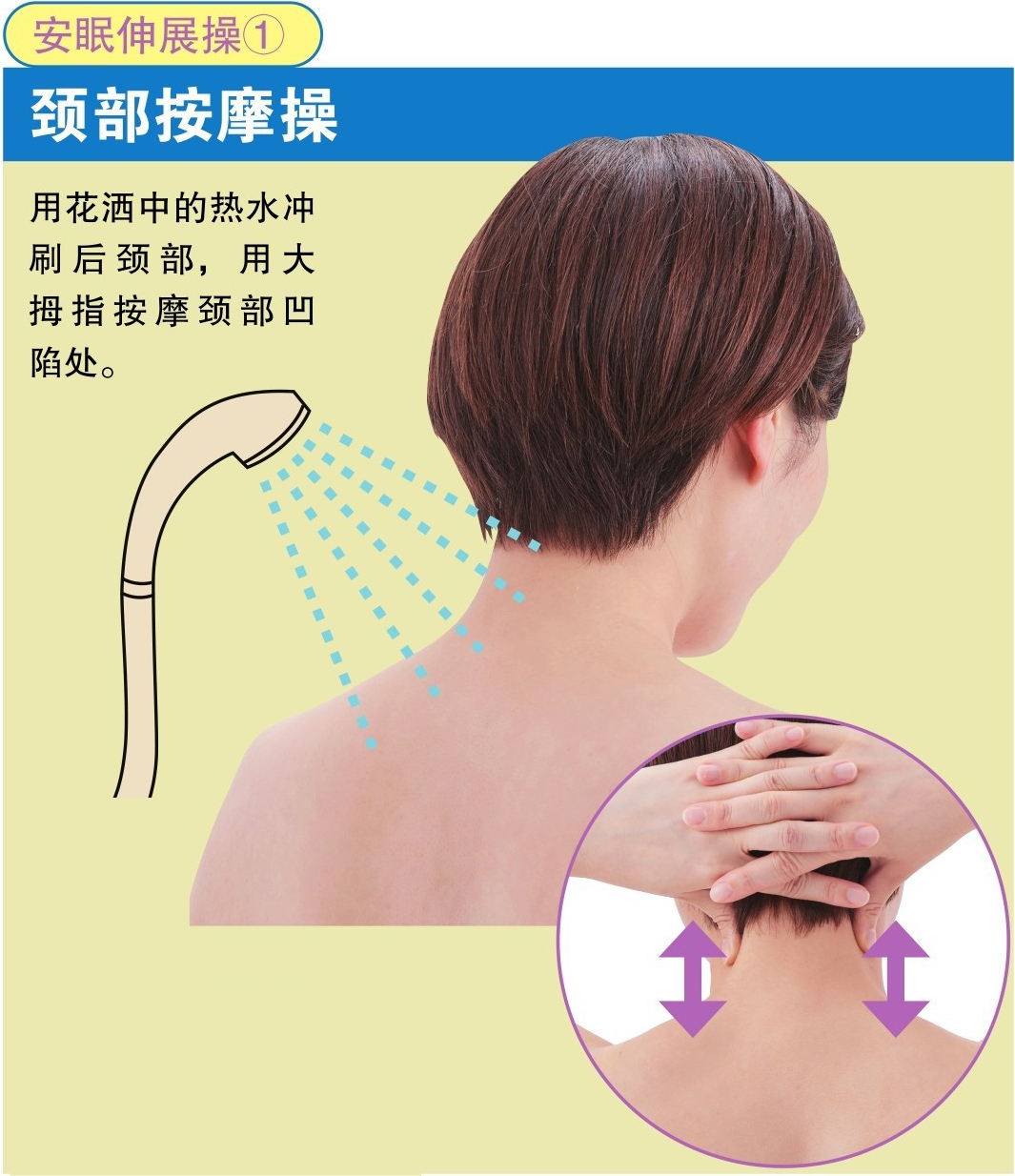 安眠伸展操①颈部按摩操用花洒中的热水冲刷后颈部，用大拇指按摩颈部凹 陷处。
