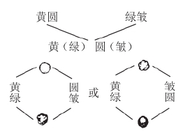 zhangyue-c