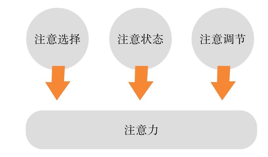 figure_0049_0001