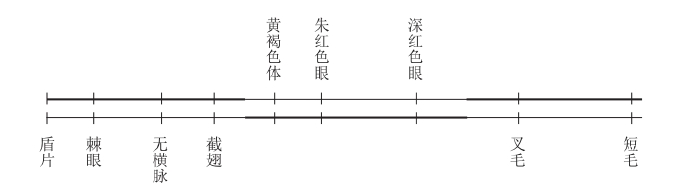 zhangyue-c
