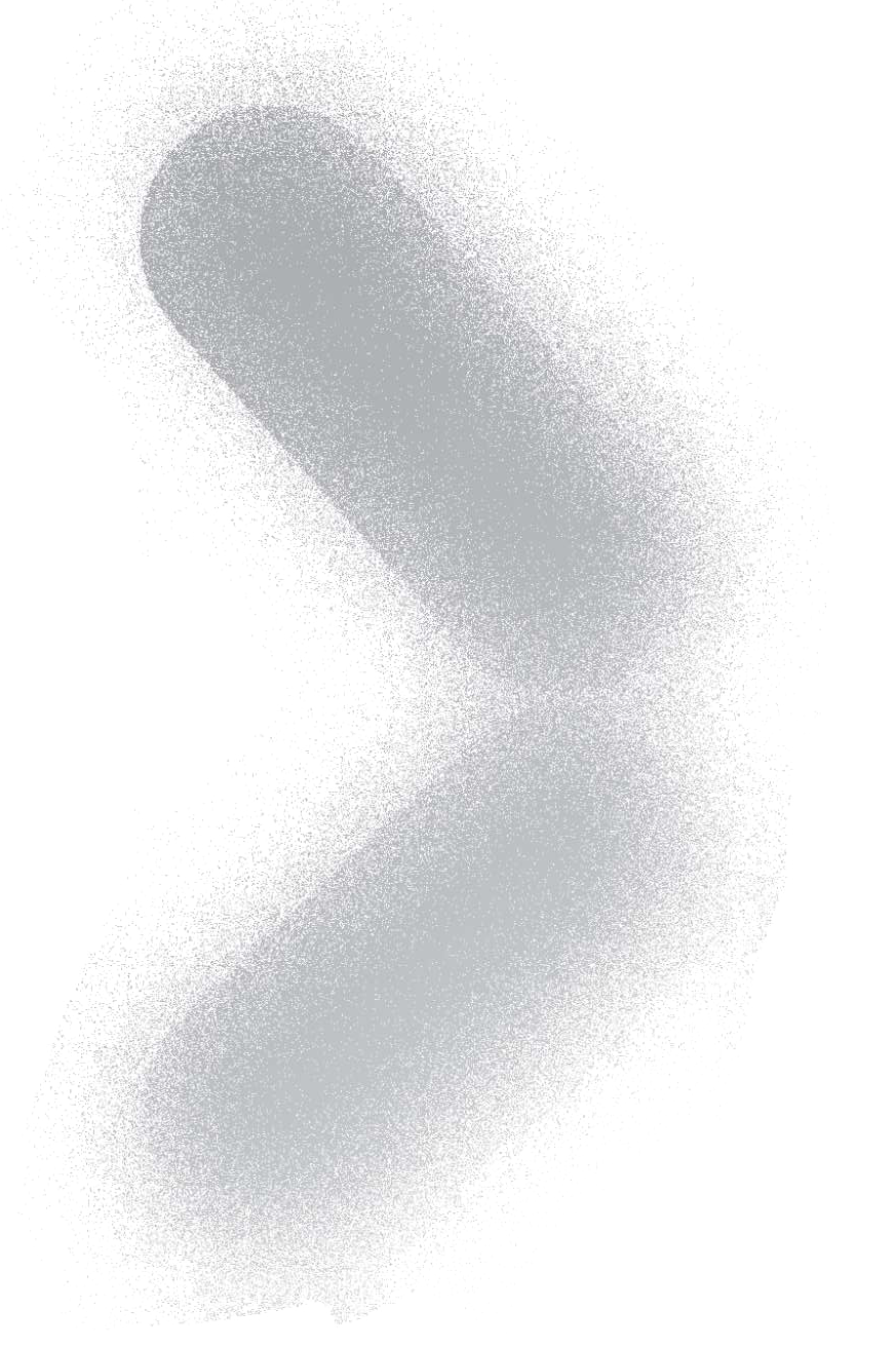 t1