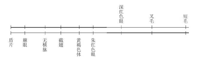 zhangyue-c