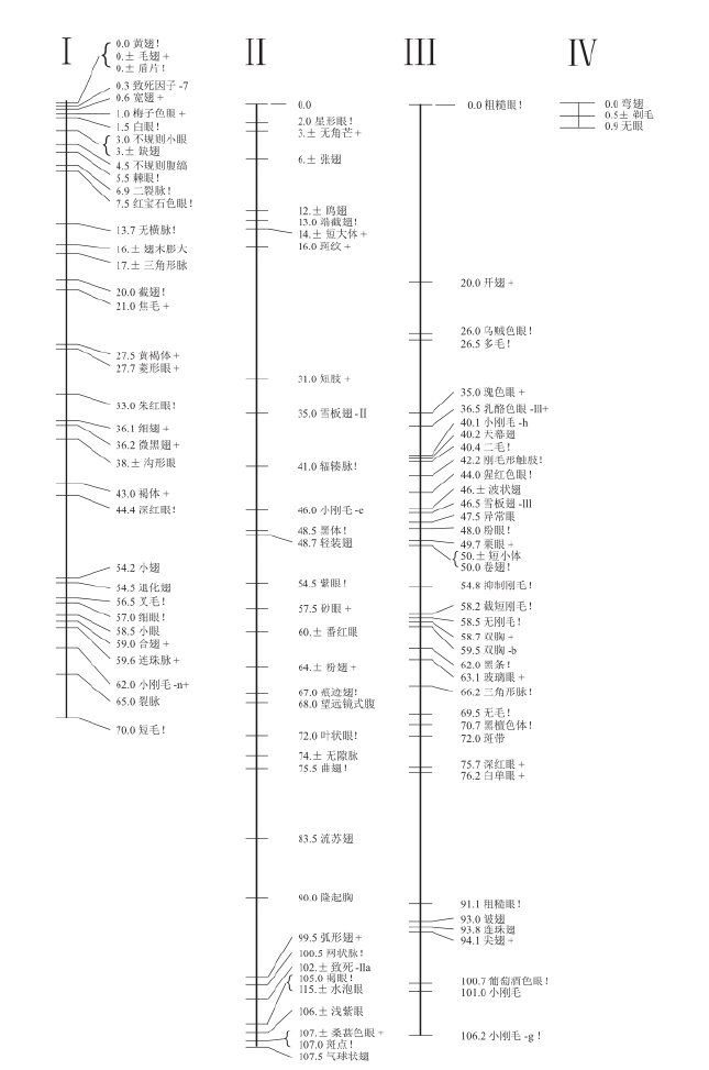 zhangyue-c
