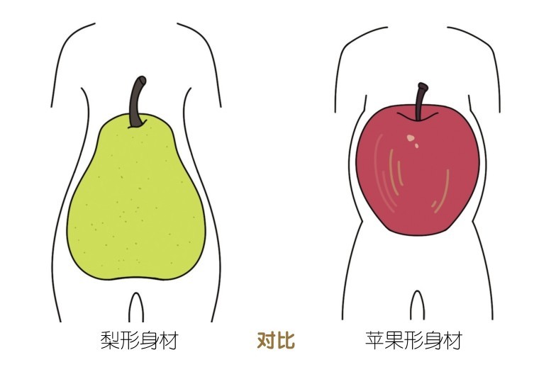 梨形身材 对比 苹果形身材