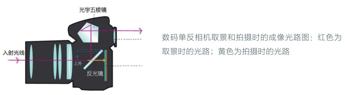数码单反相机取景和拍摄时的成像光路图:红色为取景时的光路;黄色为拍摄时的光路