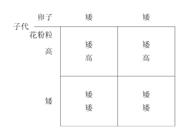 zhangyue-c