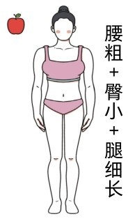 腰粗+臀小+腿细长