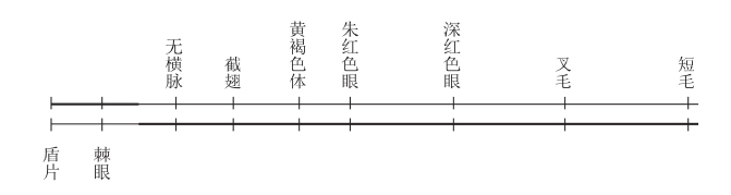 zhangyue-c