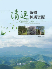 清远茶树种质资源