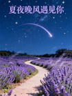 夏夜晚风遇见你