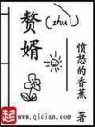 赘婿-1