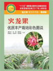 火龙果优质丰产栽培彩色图说（“金土地”新农村书系 · 果树编）[精品]
