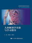 人体解剖学实验与学习指导
