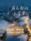 在成都的云雾里[精品]