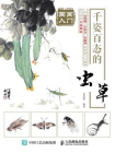 国画入门：千姿百态的虫草[精品]
