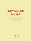 习近平法治思想学习纲要（32开）[精品]
