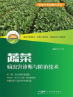 蔬菜病虫害诊断与防治技术（新时代乡村振兴丛书）