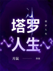 塔罗人生
