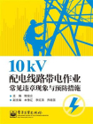 10kV配电线路带电作业常见违章现象与预防措施[精品]