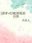 [清穿+红楼]那股泥石流