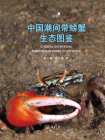 中国潮间带螃蟹生态图鉴