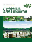 广州城市湿地常见草本植物速查手册