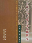 甘肃中小工业企业发展研究