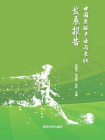 中国足球产业与文化发展报告