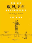 驭风少年[精品]