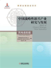 中国战略性新兴产业研究与发展：风电齿轮箱