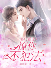 名门独宠，撩你不犯法