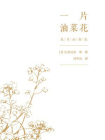 一片油菜花[精品]