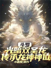 斗罗：光暗双圣龙，传承龙神神位