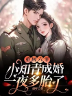 重回六零：小知青随军一夜多胎了