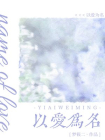 以爱为名