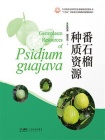 番石榴种质资源