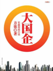 大国企[精品]