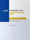 中国临床肿瘤学会（CSCO）恶性血液病诊疗指南．2020